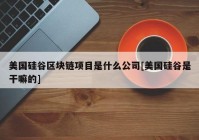 美国硅谷区块链项目是什么公司[美国硅谷是干嘛的]